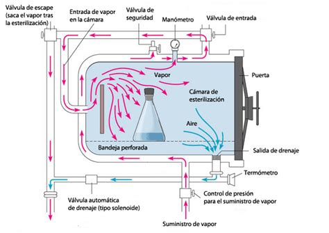 ciclo de esterilización en autoclave